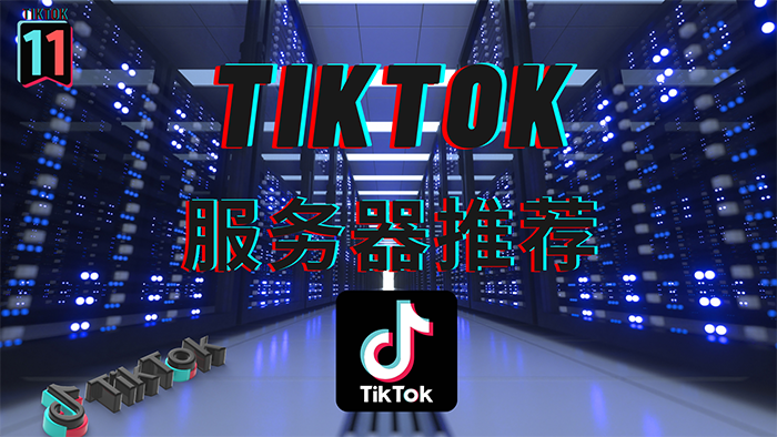 搭建自己的專屬獨享TikTok節(jié)點哪家好